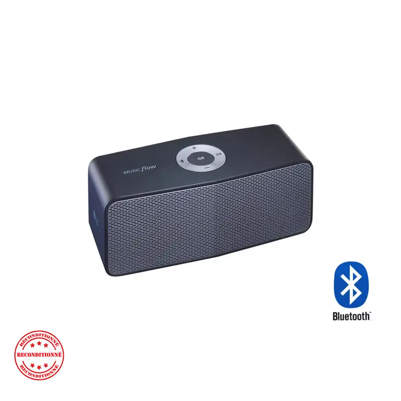 Enceinte Bluetooth LG Music Flow P5 NP5550 – compacte 10W portable