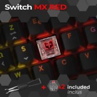 EMPIRE GAMING K248 – Clavier mécanique gaming filaire USB-C (AZERTY FR) – Switches MX Red – RGB 17 effets – 82 touches (Noir)